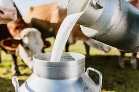 J&K’s Milk Production Soars: Output Rises from 25 to 45 Lakh Metric Tons