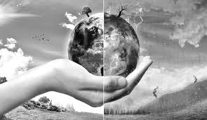 Environment Policy Group slams political parties for neglecting Env policy in manifestos