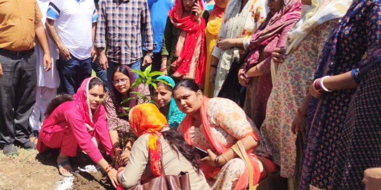 CHO Jammu visits Khour, inspects ongoing Horticulture projects