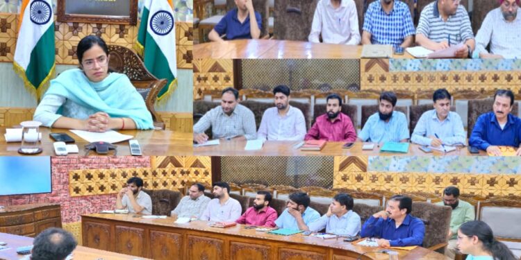 DC Kupwara reviews District Skill Development Plan