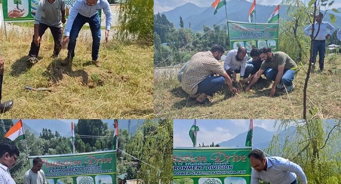 Swachhta Pakhwada: ARTO leads Plantation Drive at NHPC Bandipora