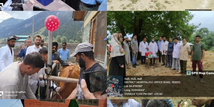 AHD Bandipora launches LSD vaccination campaign