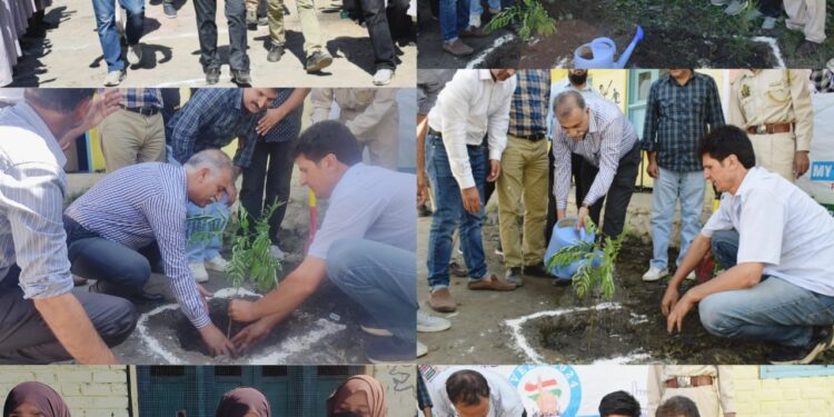 Assembly Election-2024 SVEEP: DEO Bandipora leads Plantation Drive at Polling Station Nathpora