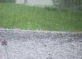 Fruit growers reiterate demand for crop insurance scheme as hailstorm wreaks havoc in south Kashmir