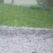 Fruit growers reiterate demand for crop insurance scheme as hailstorm wreaks havoc in south Kashmir