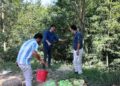 Excise Department destroys 147 Litres of Lahan in raid on brick kilns in Shopian