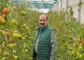 Dir Agriculture Kashmir visits Hi-tech Poly-houses in Narkara Budgam