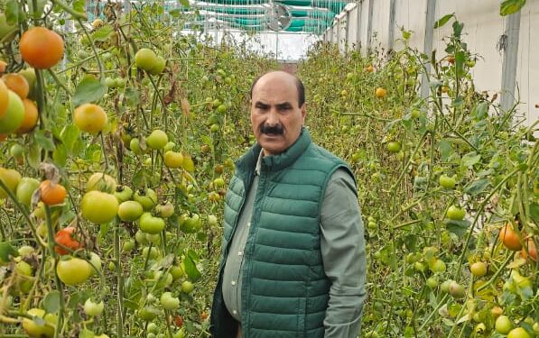 Dir Agriculture Kashmir visits Hi-tech Poly-houses in Narkara Budgam