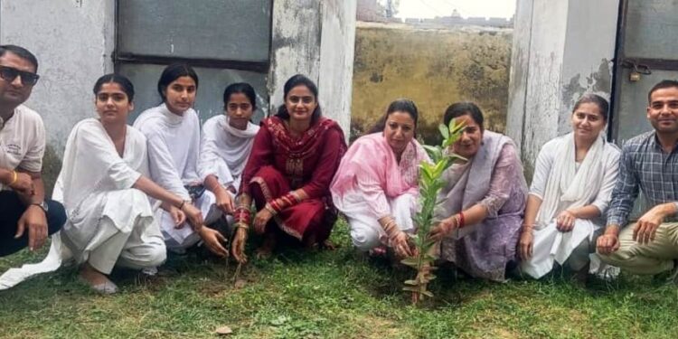 Plantation Drive organised at GDC Ramgarh