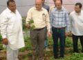 Director Horticulture visits Strawberry Cluster at Satwari