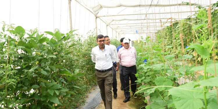 Mission Director HADP assesses Agriculture Projects, other initiatives in Jammu District