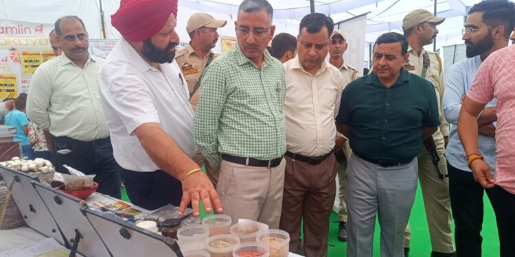 Diwali Mela cum Exhibition concludes at Samba Fort amid enthusiastic public participation