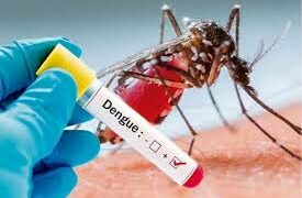 Dengue cases continue to rise in J&K as tally reaches 4,315; one death so far