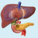JAKASI organized HPB Colloquium to showcases Advancements in Hepatopancreaticobiliary Surgery