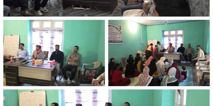 ACD inspects development works at Model Panchayat Chatroo Lower A