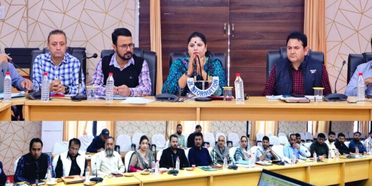 Chairperson DDC Kishtwar reviews status of services delivery, developmental activities in rural areas