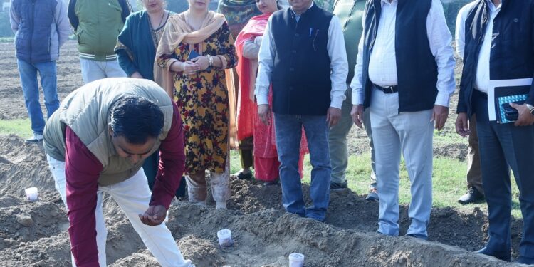 Director Agriculture launches First Seed Samples Trials for Rabi Season