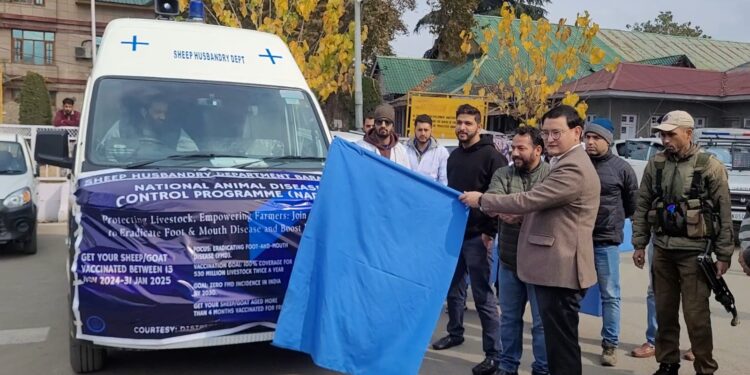 DC Baramulla Initiates FMD Vaccination Campaign to Improve Livestock Health