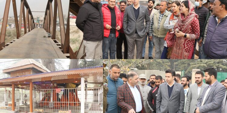 DC Srinagar visits Balhama; inspects development works Holds public meeting to listen local demands