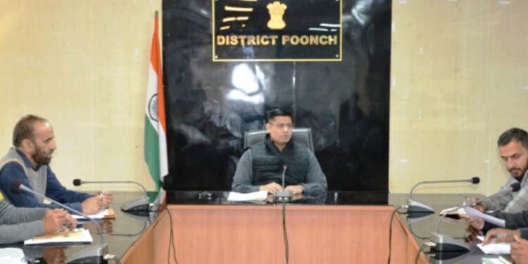 DC Poonch reviews status of land acquisition for key government projects