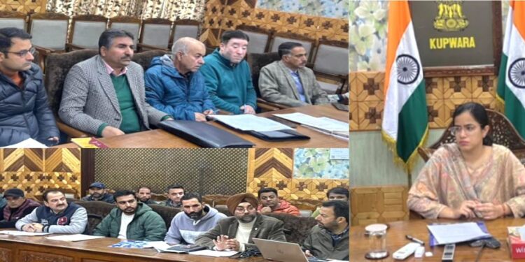 DC Kupwara chairs DLC meeting of HADP, approves 1210 Cases