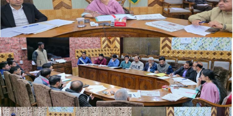 DC Kupwara chairs DDMA meeting