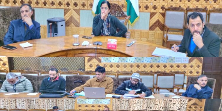 DC Kupwara reviews implementation of PM Surya Ghar Muft Bijli Yojana