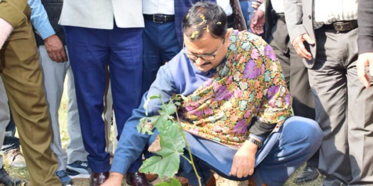 Govt committed towards welfare of people: Javed Rana