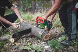 Use, Sale & Purchase of Portable Chain Saw banned in Reasi