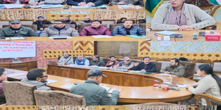 DC Kupwara reviews performance of Health department