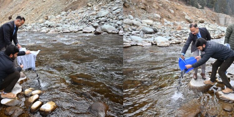 Fisheries Department undertakes Fish Stocking in Shopian