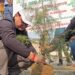 Ek Paid Maa Ke Naam: Plantation Drive held at Baramulla Polytechnic College