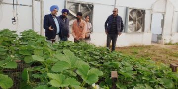 Director Agriculture Jammu inspects ongoing HADP aided projects in R.S. Pura