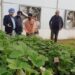 Director Agriculture Jammu inspects ongoing HADP aided projects in R.S. Pura