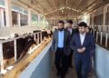 Commissioner JMC inspects upkeep of outsourced Cattle Pound Seri Khurd