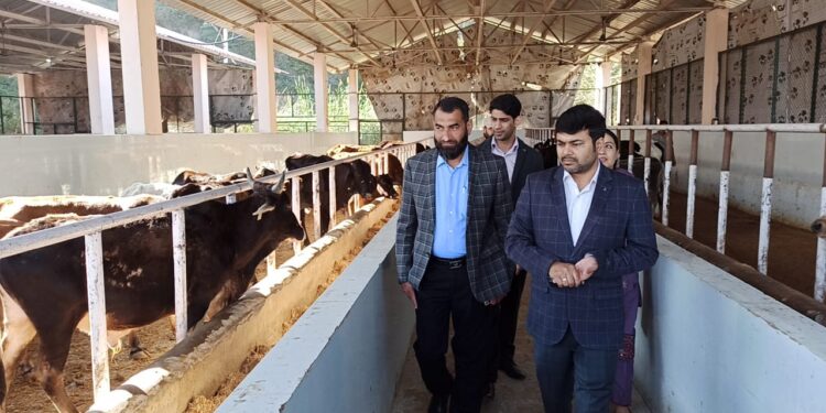 Commissioner JMC inspects upkeep of outsourced Cattle Pound Seri Khurd
