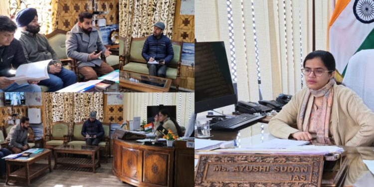 DDC Kupwara reviews progress under NADCP, AI programme