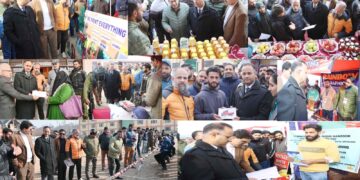 Mega Awareness/Employment Mela held at Shopian