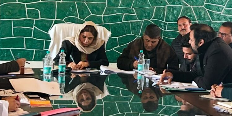 Chairperson DDC B’la reviews developmental scenario in subdivision Uri