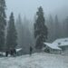 Kashmir upper reaches receive fresh snowfall, several roads closed