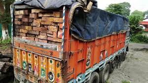 Vehicle loaded with Illegal wood seized in Basohli