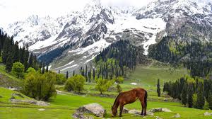 Sarbal—a picturesque, last hamlet of Gbl craves for basic facilities