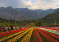 Director Floriculture for plantation of theme based ornamental flora across Gardens & Parks in Kashmir Move aimed for sustained tourist flow