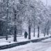 Snowfall cripples life in Kashmir 