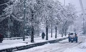 Snowfall cripples life in Kashmir