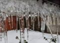 Chila-i-Kalan to commence with light snowfall over higher reaches