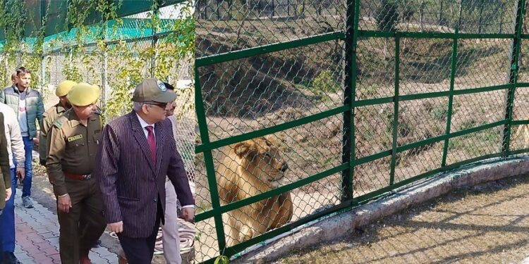 CS for developing Jambu Zoo at par with international standards