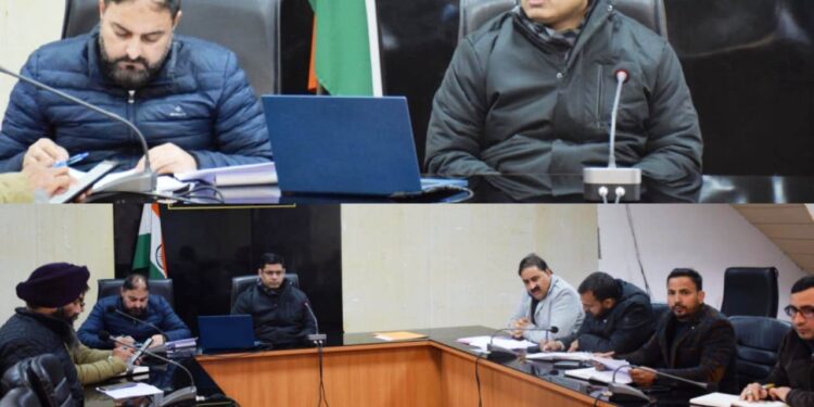 DC Poonch reviews adherence to PSGA in delivery of online services