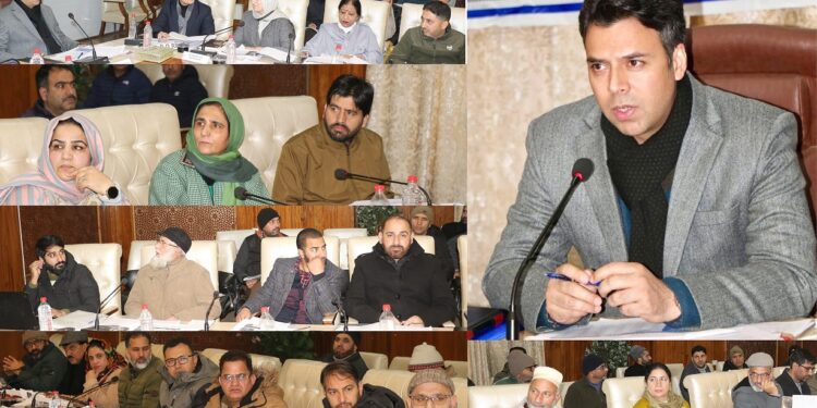 DC Srinagar chairs DLRC/ DCC meet