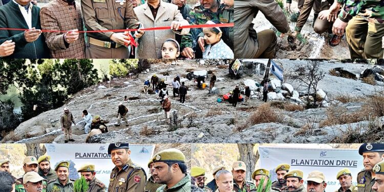 Doda: Plantation Drive “Ek Ped Maa Ke Naam” conducted along National Highway